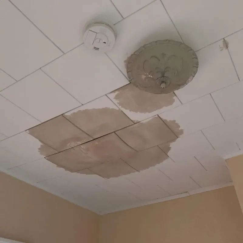Ceiling Water Damage Repair in Foster Brook, PA