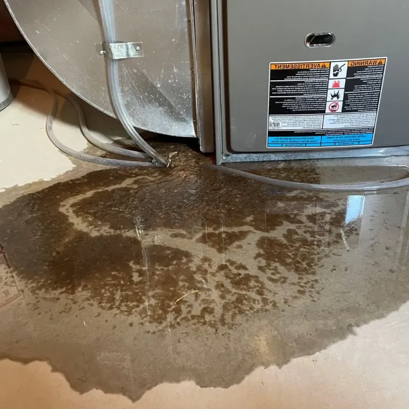 Pipe Burst and Leak Restoration in Foster Brook, PA