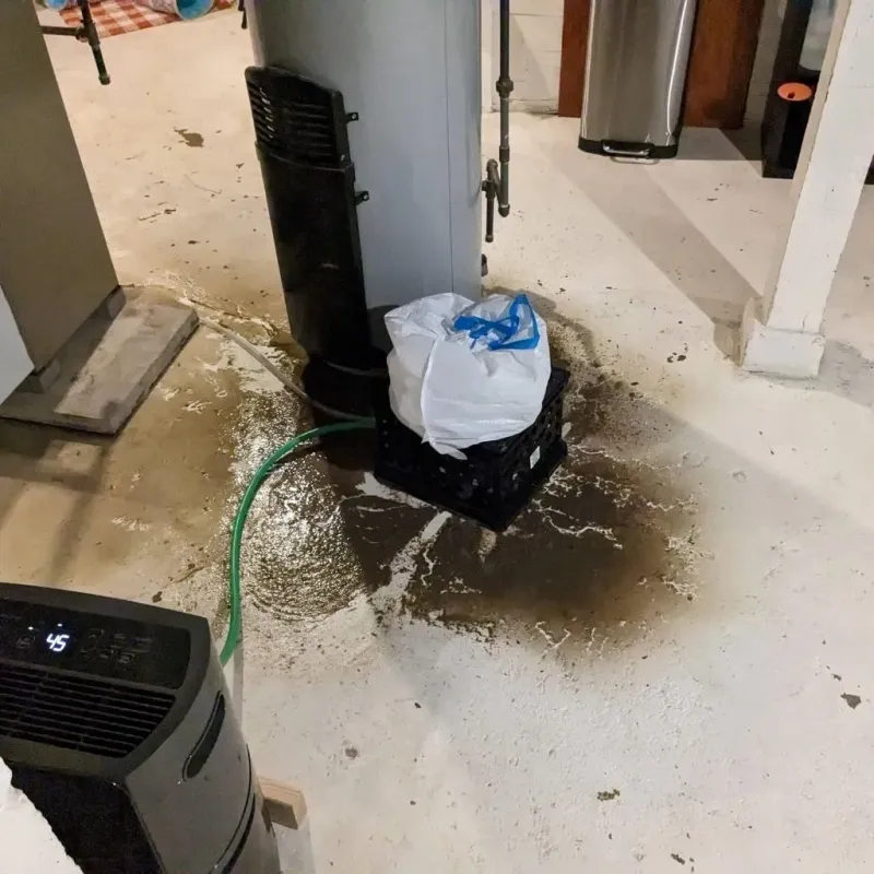 Sewage Backup Cleanup Service in Foster Brook, PA